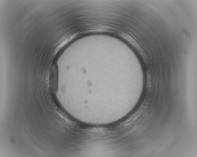 X0000115350834200912011050