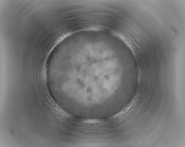 X0000115350835200912011050