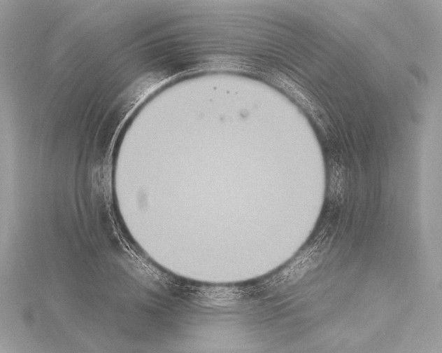 X0000115350836200912011050