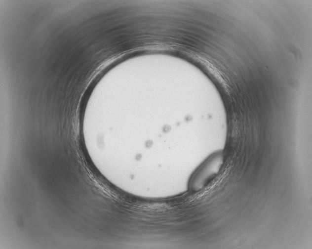 X0000115350837200912011050