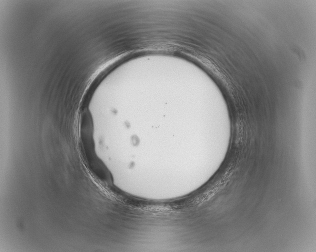 X0000115350838200912011050