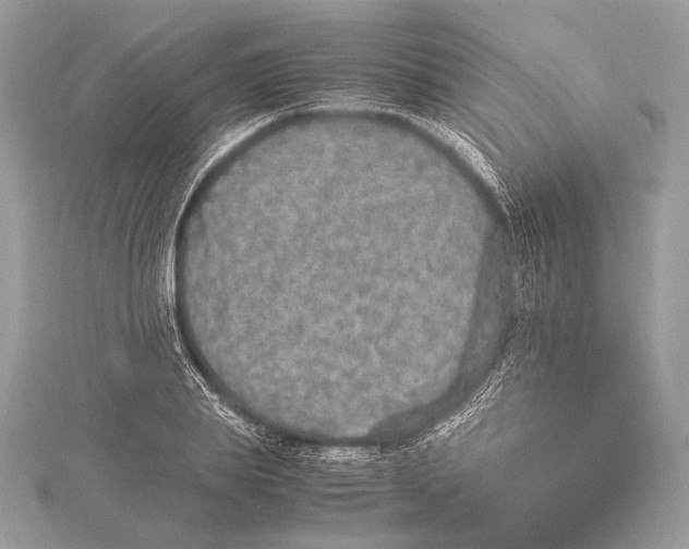 X0000115350839200912011050