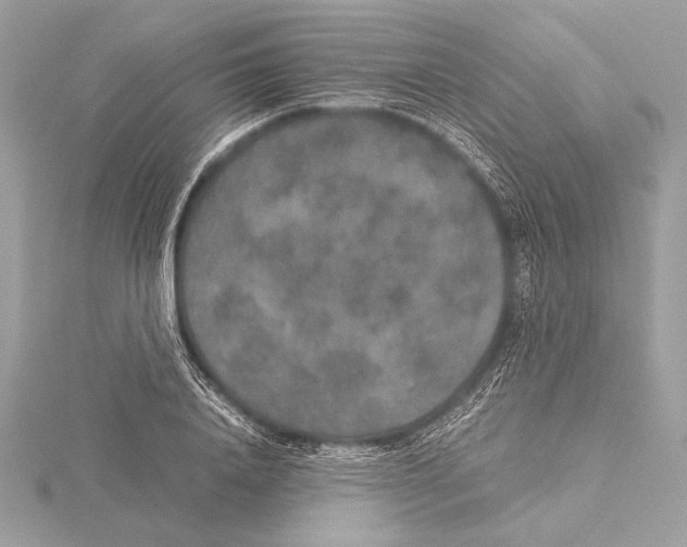 X0000115350840200912011050