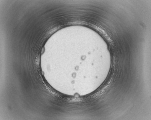 X0000115350841200912011050