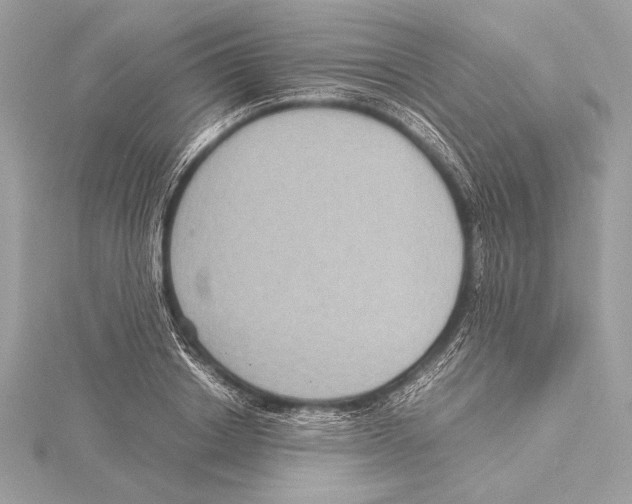 X0000115350842200912011050