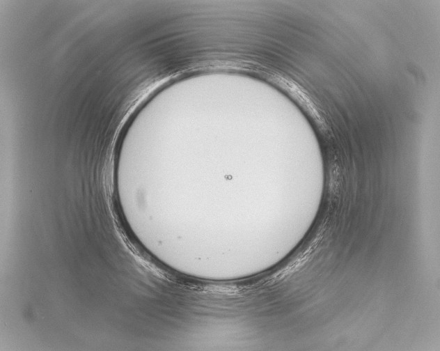 X0000115350844200912011050