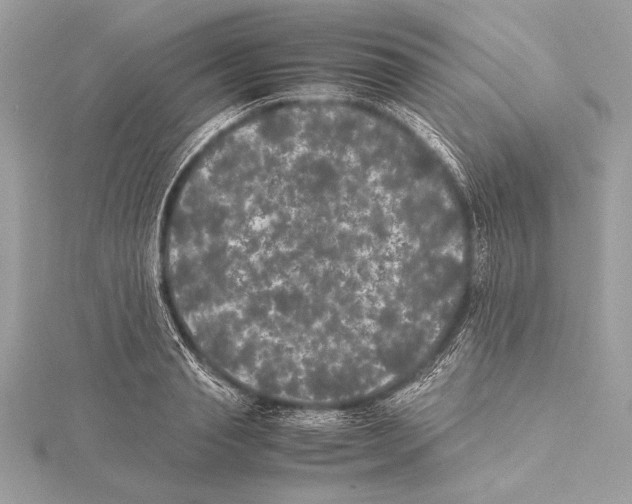 X0000115350845200912011050