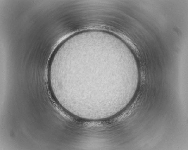 X0000115350846200912011050