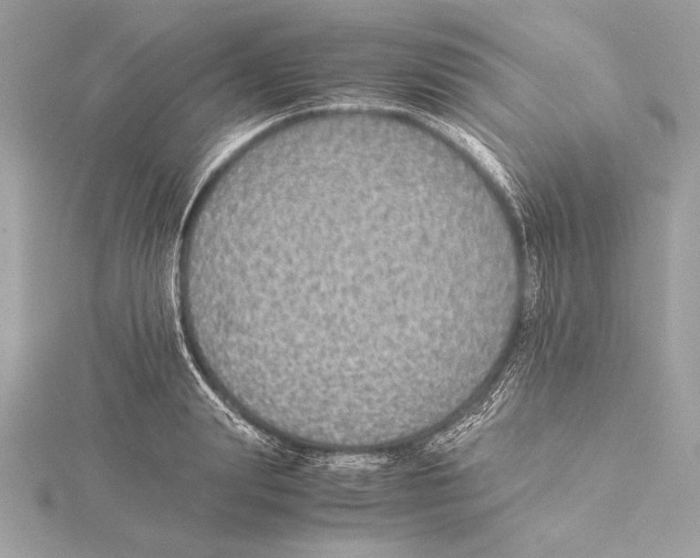 X0000115350847200912011050