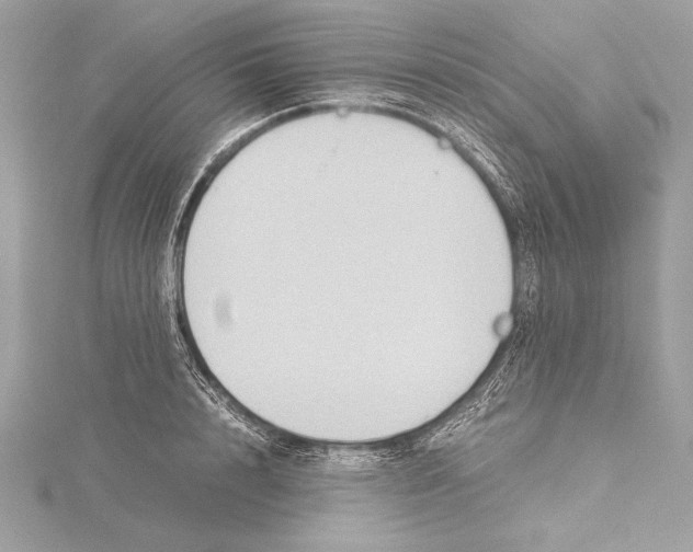 X0000115350848200912011050