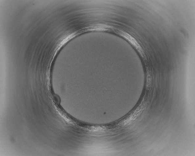 X0000115350850200912011050