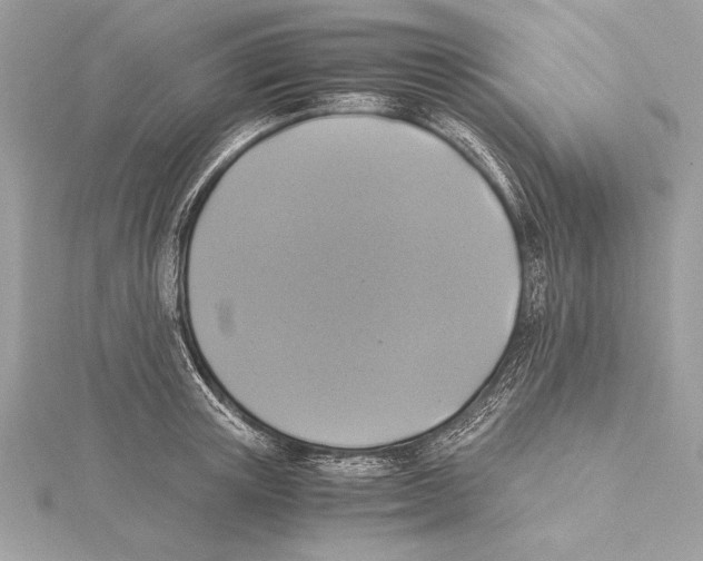 X0000115350851200912011050