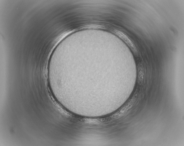 X0000115350852200912011050