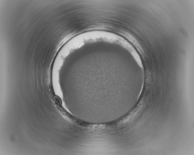 X0000115350858200912011050