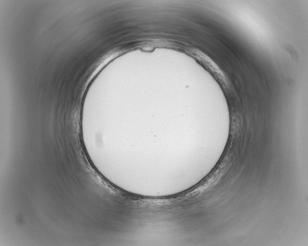 X0000115350860200912011050