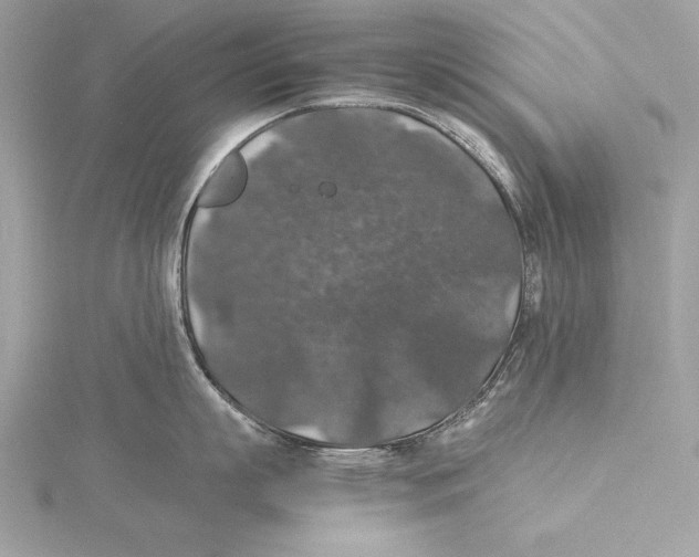 X0000115350863200912011050