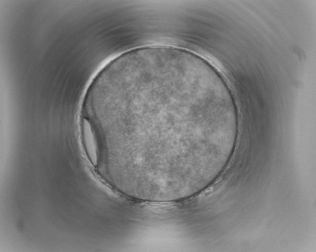 X0000115350864200912011050