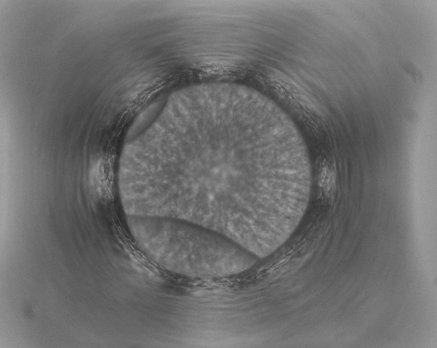 X0000115350868200912011050