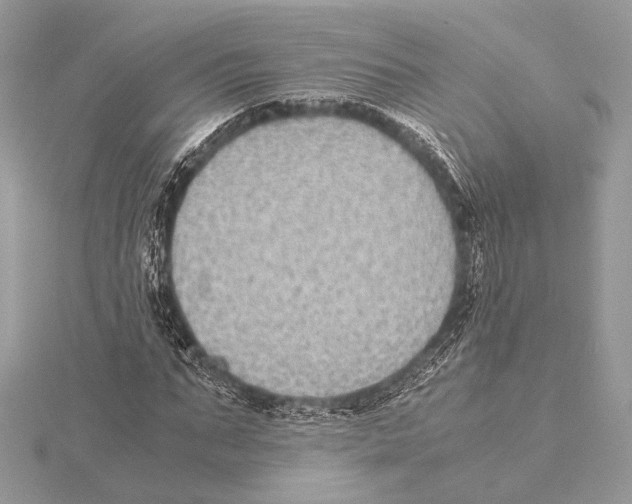 X0000115350871200912011050