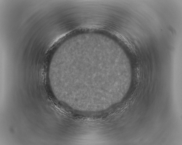 X0000115350872200912011050