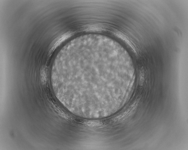 X0000115350874200912011049