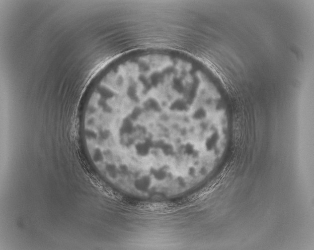 X0000115350879200912011049