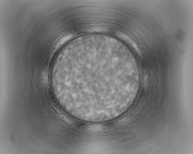 X0000115350882200912011049