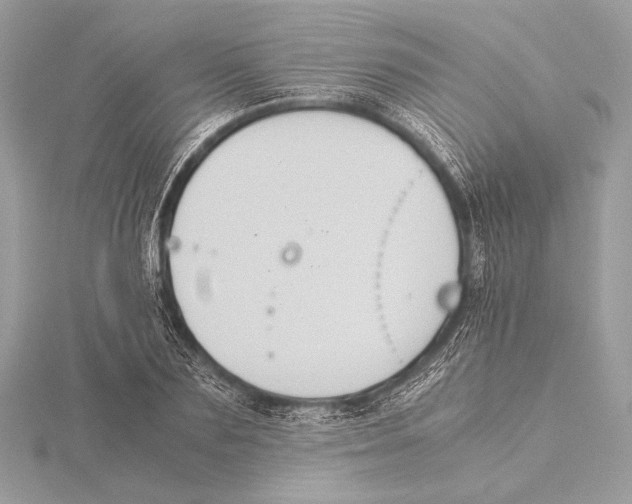 X0000115350883200912011049