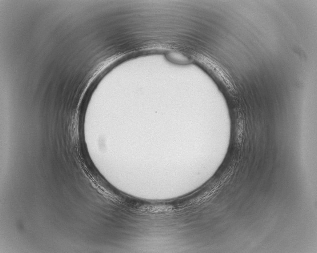 X0000115350884200912011049