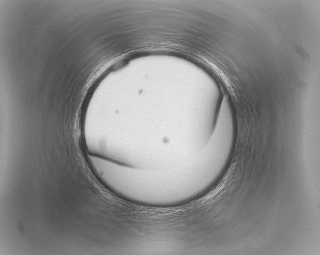 X0000115350885200912011049