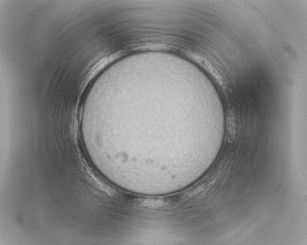 X0000115350890200912011049