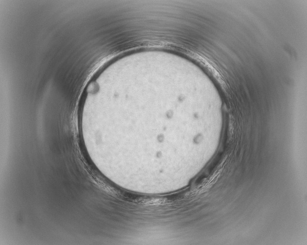 X0000115350891200912011049