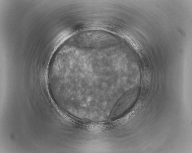 X0000115350893200912011049