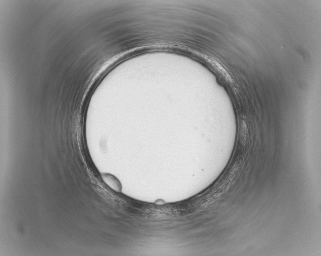 X0000115350895200912011049