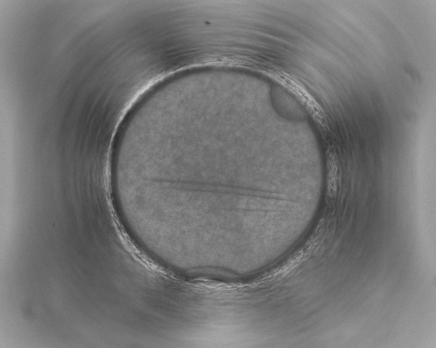 X0000115350896200912011049