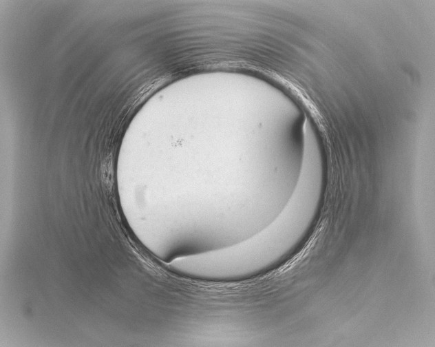 X0000115350897200912011049