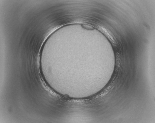 X0000115350900200912011049