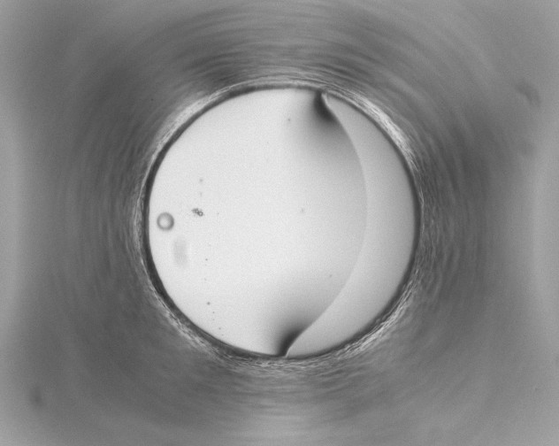 X0000115350901200912011049