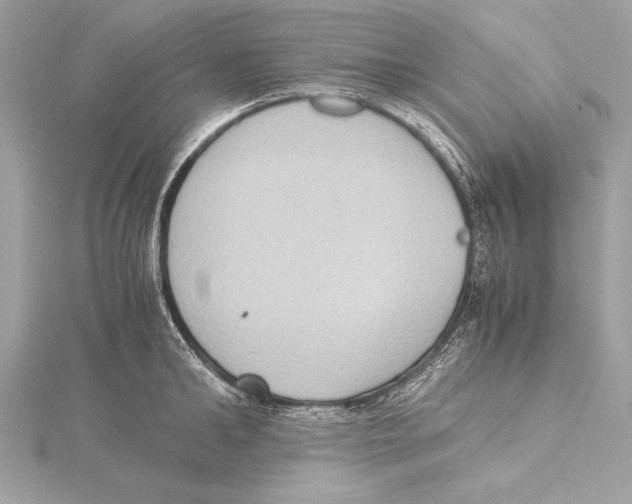 X0000115350902200912011049