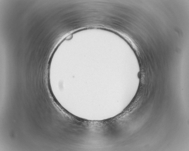 X0000115350903200912011049