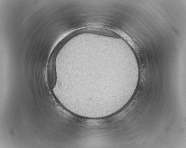 X0000115350904200912011049