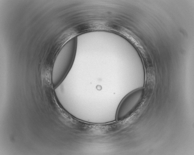 X0000115350905200912011049