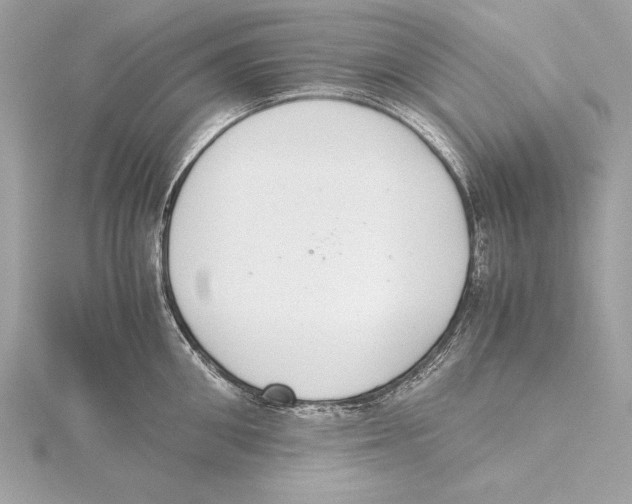 X0000115350906200912011049