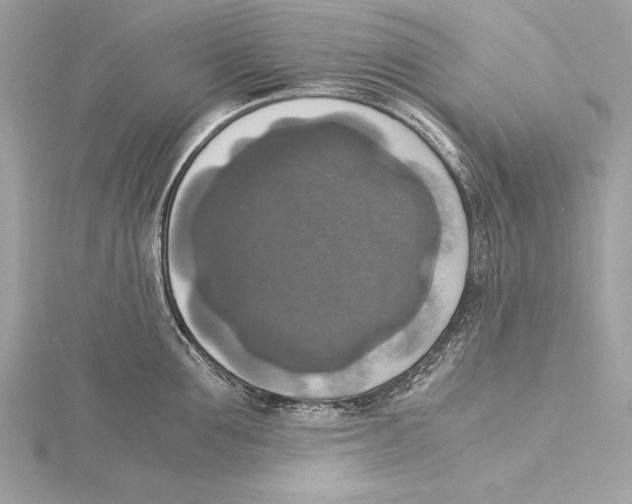 X0000115350907200912011049