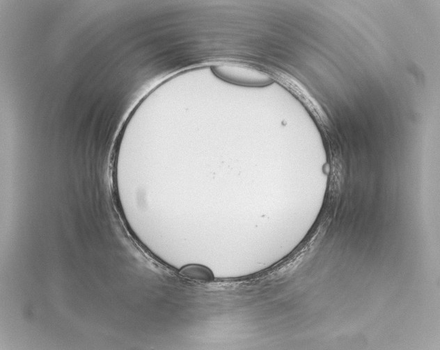 X0000115350908200912011049