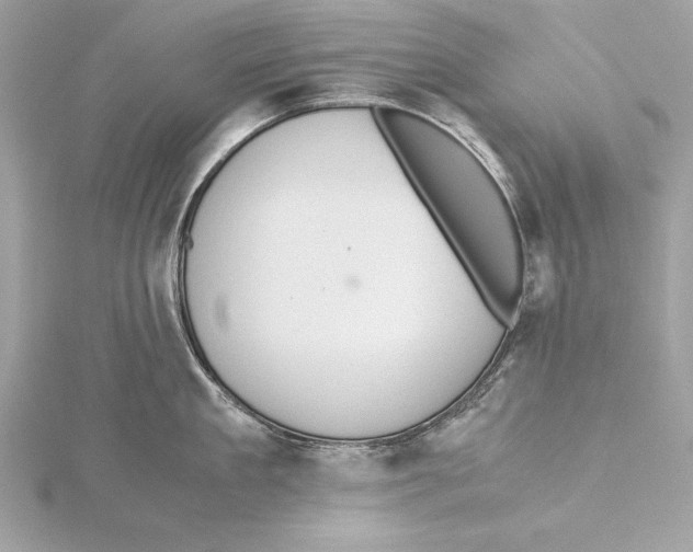 X0000115350909200912011049