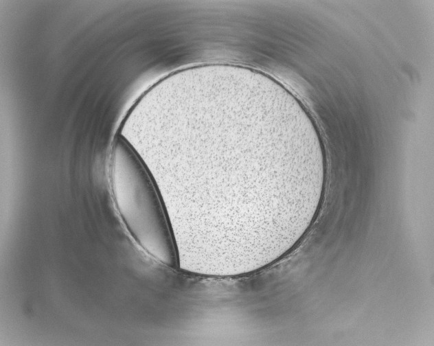 X0000115350912200912011049