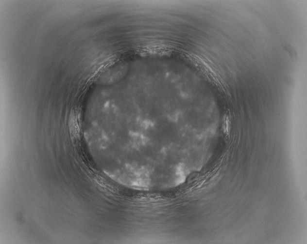 X0000115350915200912011048