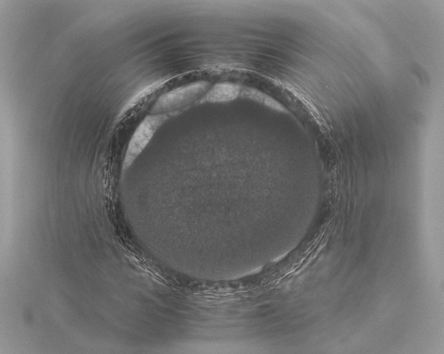 X0000115350919200912011048