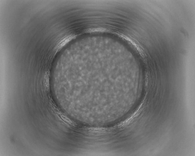 X0000115350921200912011048